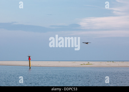 Grand Héron survolant le marqueur de canal près de l'île Deer, dans le golfe du Mexique à Biloxi (Mississippi) Banque D'Images