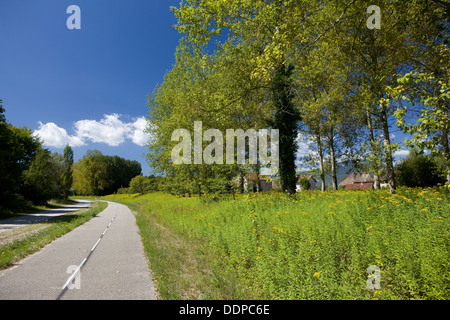 Via Rhôna le cycle trek entre Genève et méditerranéens,en cours Banque D'Images