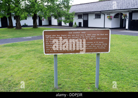 Irish National Stud à Kildare, Irlande Banque D'Images