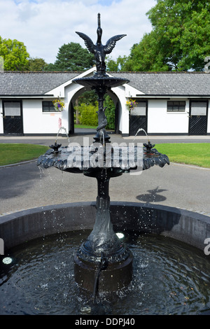 Irish National Stud à Kildare, Irlande Banque D'Images