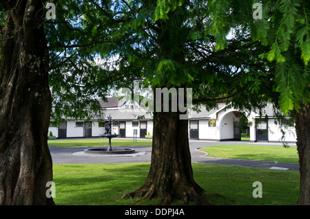 Irish National Stud à Kildare, Irlande Banque D'Images