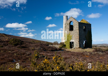 Parys Mountain reste de Pearl Engine House ci-dessous près de la mine de cuivre Le cuivre Uni Holyhead Anglesey Notth Wales UK Banque D'Images