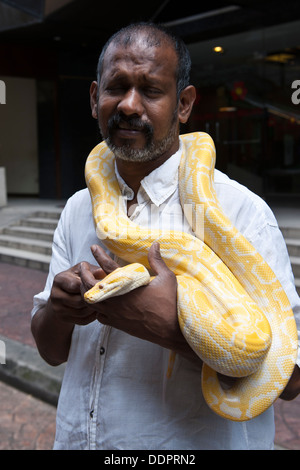 L'homme indien avec un serpent jaune, Malaisie Banque D'Images