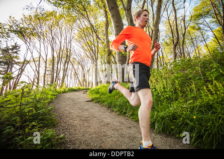 Un Yong man running sur un sentier à travers la forêt dans la région de Discovery Park, Seattle, Washington, USA. Banque D'Images