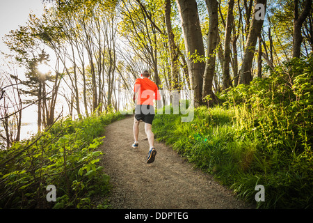 Un jeune homme qui traverse la forêt à Discovery Park, Seattle, Washington, États-Unis. Banque D'Images