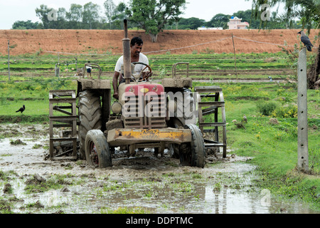 L'homme indien de labourer un champ de riz avec un tracteur. L'Andhra Pradesh, Inde Banque D'Images