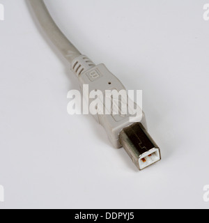 Connecteur USB de type B sur fond blanc. Banque D'Images