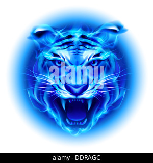 Tête de tigre de feu en bleu. Illustration sur fond blanc. Banque D'Images