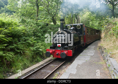 Approche d'LocomotiveTalyllyn Dolgoch Station sur le chemin de fer Talyllyn, Gwynedd, Pays de Galles Banque D'Images