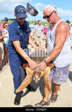 Maître de 1re classe Maximilliano Castillo de la station de la Garde côtière canadienne d'aides à la navigation Corpus Christi porte une disparition tortue de mer verte de la rive à Port Aransas, Texas, 2 septembre 2013. La Garde côtière ont fait équipe avec des bénévoles pour l'Animal Banque D'Images