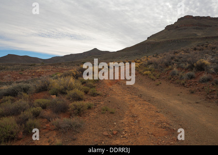 Route de gravier dans les Monts Hantam, Calvinia, province de Northern Cape, Afrique du Sud Banque D'Images