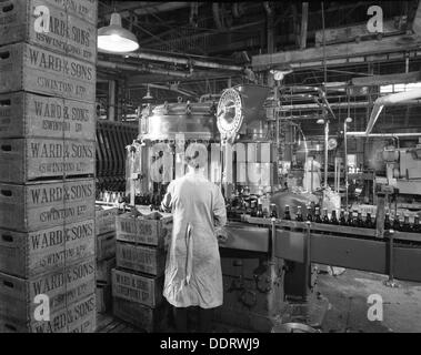 Ward & Sons, l'usine d'embouteillage de boissons gazeuses Swinton, South Yorkshire, 1960. Artiste : Michael Walters Banque D'Images