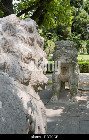 Les Tombeaux des Ming, Nanjing, Chine. Des statues de lions sur la route de l'éléphant. Banque D'Images