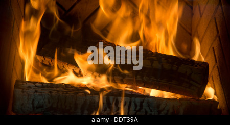 Close-up of Camp, lac des Bois, Keewatin (Ontario), Canada Banque D'Images