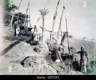 Shadufs en Haute Égypte, fin du xixe siècle. Artiste : G Lekegian Banque D'Images