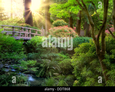 Pont et ruisseau. Jardin japonais de Portland, Oregon Banque D'Images