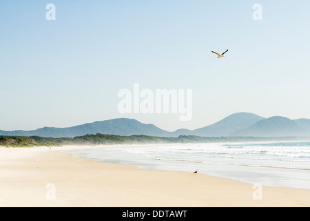 La plage de Barra da Lagoa. Florianopolis, Santa Catarina, Brésil. Banque D'Images