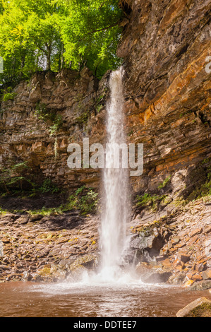 L'Hardraw Force cascade ( la plus haute chute d'Englands ininterrompue ) près de Hawes , Savoie , Yorkshire , Angleterre , Royaume-Uni Banque D'Images