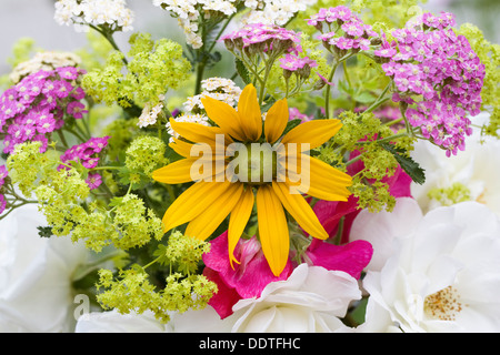 Fleurs fraîchement cueillies à partir d'un jardin d'été. L'Achillea, Rudbeckia, Alchemilla, Roses et les petits pois. Banque D'Images