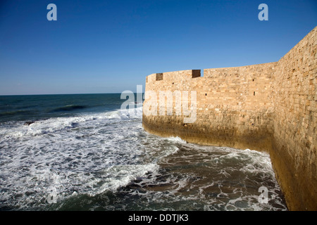 Les murs (murs Al-Jazzar croisés), Acre, Israël. Artiste : Samuel Magal Banque D'Images