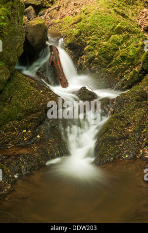 Le flux de Fairy Glen Banque D'Images