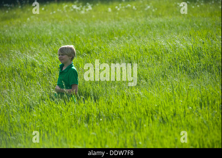 Un garçon se cache dans l'herbe haute en été Banque D'Images