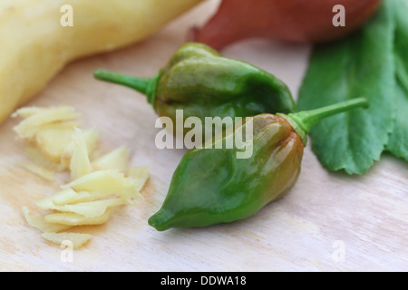 Piment Bhut Jolokia au gingembre et feuilles de coriandre Banque D'Images