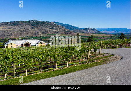 Tinhorn Creek Winery, Oliver, Sud de l'Okanagan, Colombie-Britannique, Canada. Banque D'Images