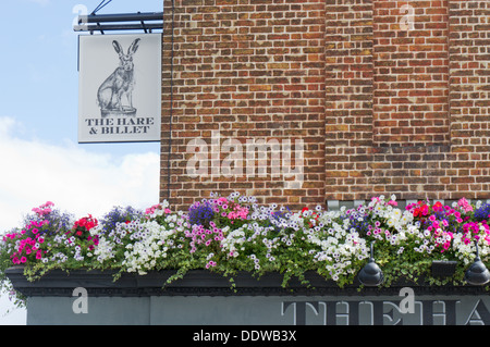 Le Hare & pub de billettes à Blackheath, Londres. Banque D'Images