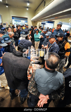 Vente aux enchères de thon à un marché aux poissons, à Osaka au Japon. Banque D'Images