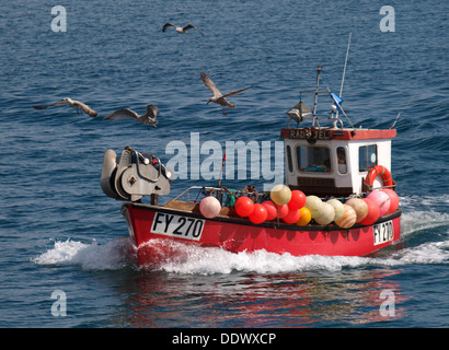 Petit chalutier de pêche commerciale de retour à la maison avec vol de mouettes autour d'elle, Mevagissey, Cornwall, UK 2013 Banque D'Images