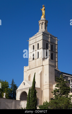 Cathédrale Notre Dame des Doms à Avignon, France. Banque D'Images