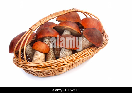 Beaux champignons, champignons d'aspen avec bonnets rouges dans un panier en osier. Présenté sur un fond blanc. Banque D'Images