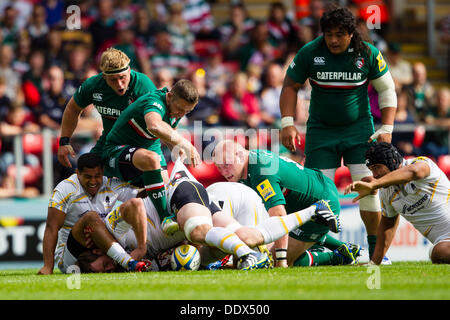 Leicester, Royaume-Uni. Sep 8, 2013. Le demi de mêlée de Leicester David Mele étapes sur un ruck pour fixer la balle. Action de la Aviva Premiership match entre Leicester Tigers et Worcester Warriors joué à Welford Road, Leicester Crédit : Graham Wilson/Alamy Live News Banque D'Images