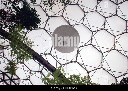 Eden Project,Cornwall,UK,une série de biodomes artificiel avec des collections de plantes,arbres,fleurs de partout dans le monde tropical inc. Banque D'Images