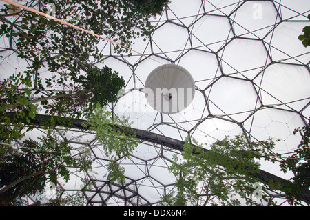 Eden Project,Cornwall,UK,une série de biodomes artificiel avec des collections de plantes,arbres,fleurs de partout dans le monde tropical inc. Banque D'Images