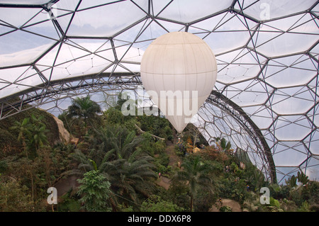 Eden Project,Cornwall,UK,une série de biodomes artificiel avec des collections de plantes,arbres,fleurs de partout dans le monde tropical inc. Banque D'Images