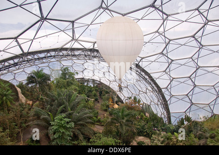 Eden Project,Cornwall,UK,une série de biodomes artificiel avec des collections de plantes,arbres,fleurs de partout dans le monde tropical inc. Banque D'Images