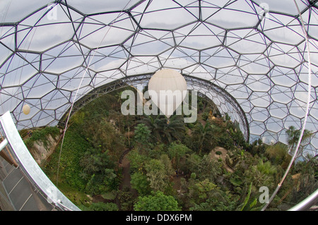 Eden Project,Cornwall,UK,une série de biodomes artificiel avec des collections de plantes,arbres,fleurs de partout dans le monde tropical inc. Banque D'Images