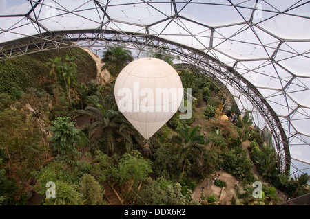 Eden Project,Cornwall,UK,une série de biodomes artificiel avec des collections de plantes,arbres,fleurs de partout dans le monde tropical inc. Banque D'Images