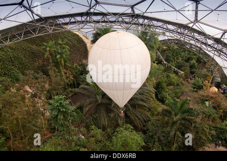 Eden Project,Cornwall,UK,une série de biodomes artificiel avec des collections de plantes,arbres,fleurs de partout dans le monde tropical inc. Banque D'Images