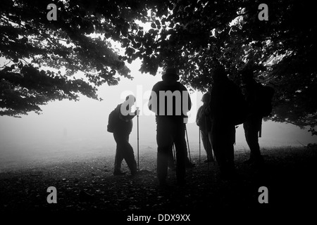 Les Randonneurs sous un grand arbre. Parc Naturel du Montseny. Barcelone. La Catalogne. L'Espagne. Banque D'Images