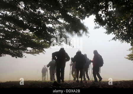 Les randonneurs randonnée en forêt brumeuse en chemin. Parc Naturel du Montseny. Barcelone. La Catalogne. L'Espagne. Banque D'Images