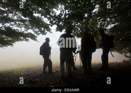 Les Randonneurs sous un grand arbre. Parc Naturel du Montseny. Barcelone. La Catalogne. L'Espagne. Banque D'Images