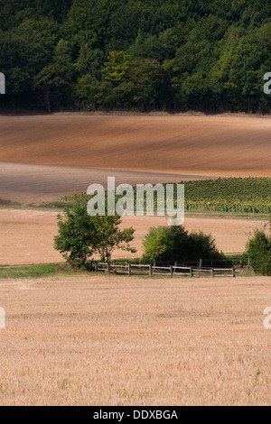 Champs et campagne autour d'Arthel, Bourgogne (Bourgogne), France Banque D'Images