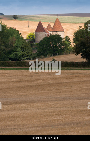 Champs et campagne autour d'Arthel, Bourgogne (Bourgogne), France Banque D'Images