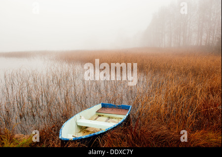 Magical mistery tour - un matin de novembre brumeux en Suède Banque D'Images