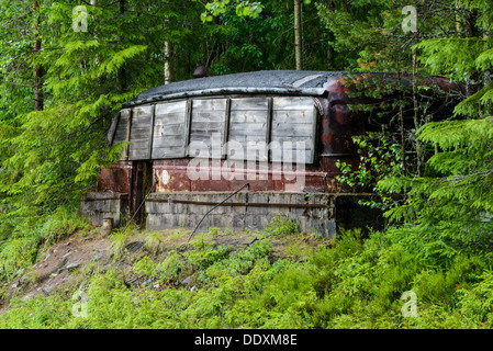 Bus abandonnés dans les arbres, Orsa, dalarna, Suède Banque D'Images