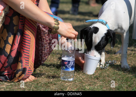 Une femme de donner son animal de compagnie, un verre d'eau d'une tasse en polystyrène sur une chaude journée d'été dans un parc de Londres, Angleterre Banque D'Images