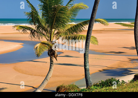 Brésil, Bahia : plage naturelle d'Imbassí dans le nord de Salvador da Bahia Banque D'Images